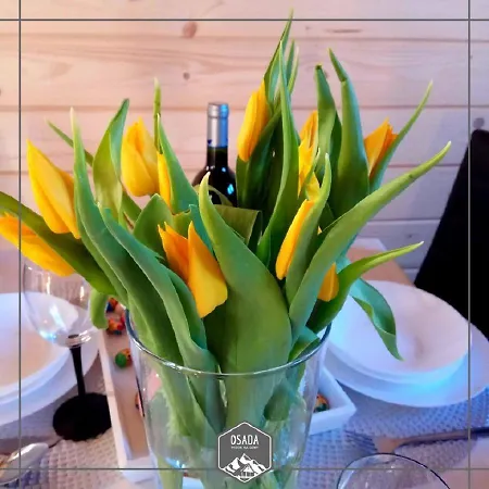 Chalet Osada Widok Na Gory - Dwa Z Jacuzzi Na Wylacznosc *