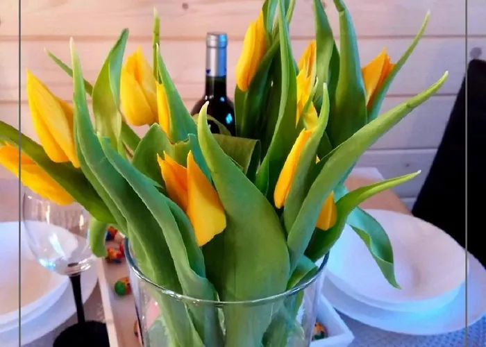 Шале Osada Widok Na Gory - Dwa Z Jacuzzi Na Wylacznosc *